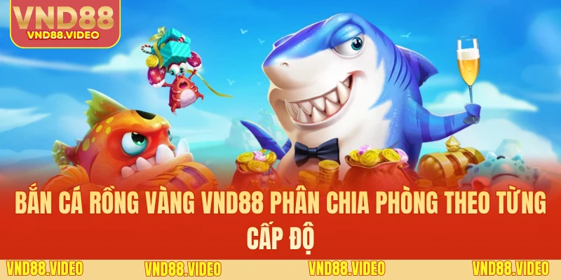 Bắn cá rồng vàng VND88 phân chia phòng theo từng cấp độ
