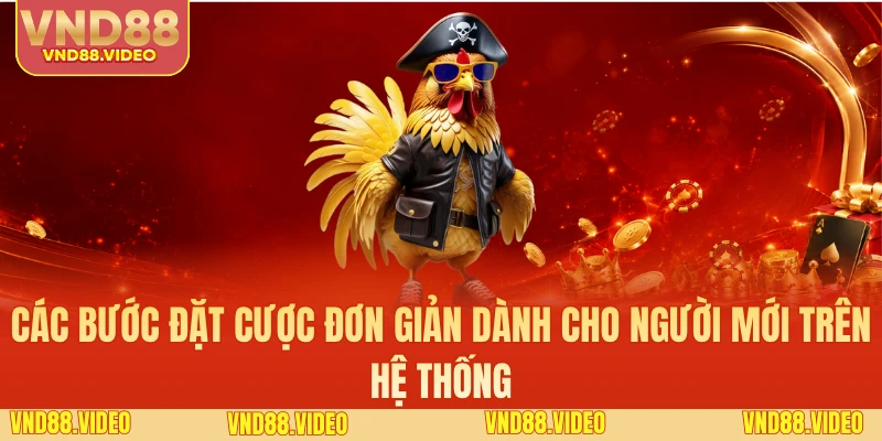 Các bước đặt cược đơn giản dành cho người mới trên hệ thống