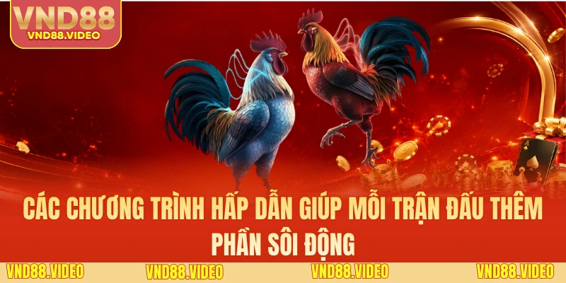 Các chương trình hấp dẫn giúp mỗi trận đấu thêm phần sôi động