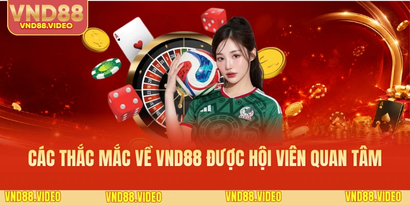 Các thắc mắc về VND88 được hội viên quan tâm