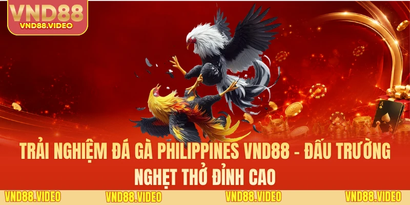 Trải Nghiệm Đá Gà Philippines VND88 - Đấu Trường Nghẹt Thở Đỉnh Cao