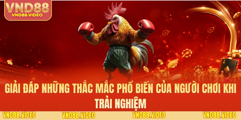 Giải đáp những thắc mắc phổ biến của người chơi khi trải nghiệm
