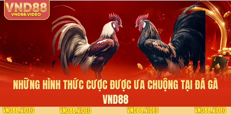 Những hình thức cược được ưa chuộng tại đá gà VND88
