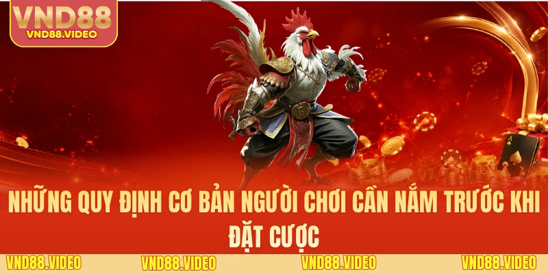 Những quy định cơ bản người chơi cần nắm trước khi đặt cược